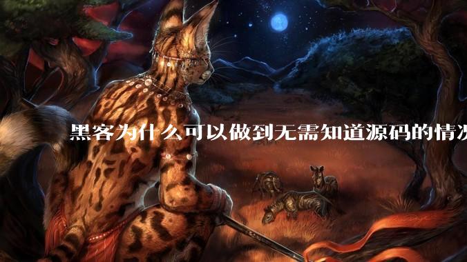 黑客为什么可以做到无需知道源码的情况下找出系统漏洞？