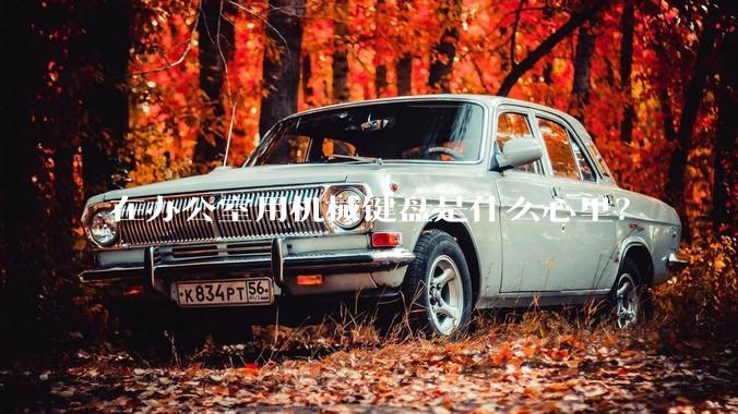 在办公室用机械键盘是什么心里？