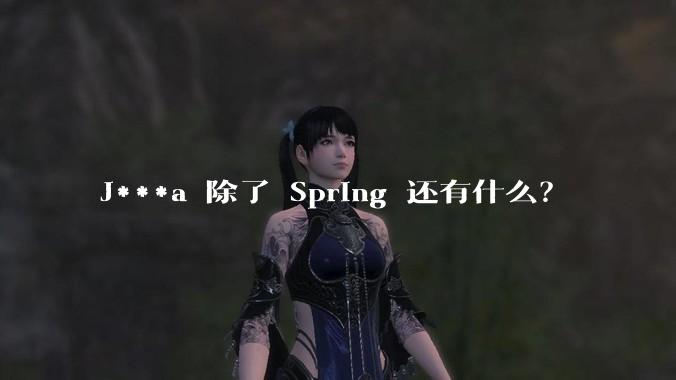 J***a 除了 Spring 还有什么？
