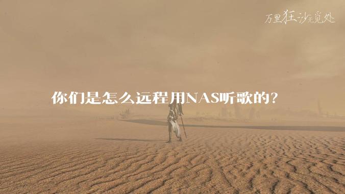 你们是怎么远程用NAS听歌的？