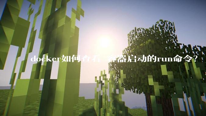 docker如何查看 容器启动的run命令？