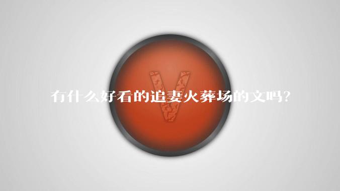 有什么好看的追妻火葬场的文吗？