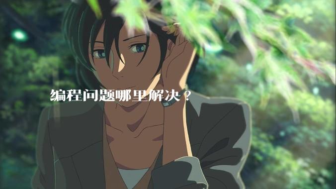 编程问题哪里解决?
