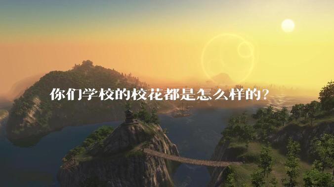 你们学校的校花都是怎么样的？