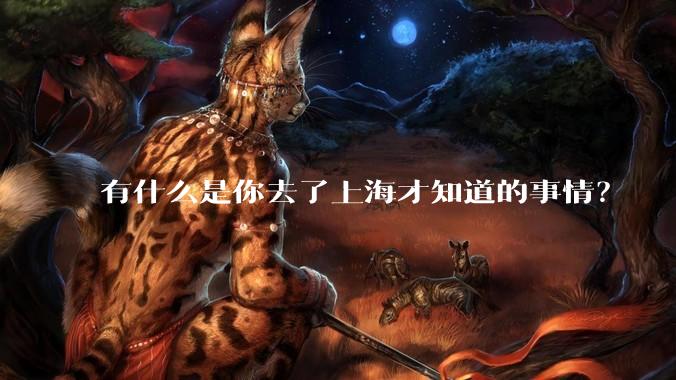 有什么是你去了上海才知道的事情？
