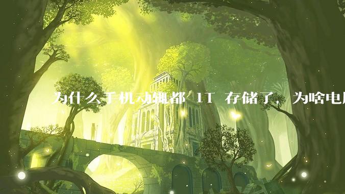 为什么手机动辄都 1T 存储了，为啥电脑还在死磕 512G 呢？