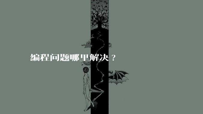 编程问题哪里解决?