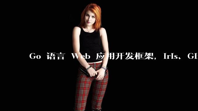 Go 语言 Web 应用开发框架，Iris、Gin、Echo，哪一个更适合大型项目？
