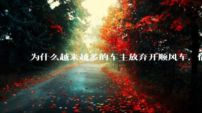 为什么越来越多的车主放弃开顺风车，情愿一个人独自开车？