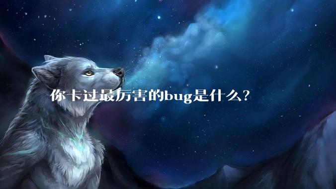 你卡过最厉害的bug是什么？