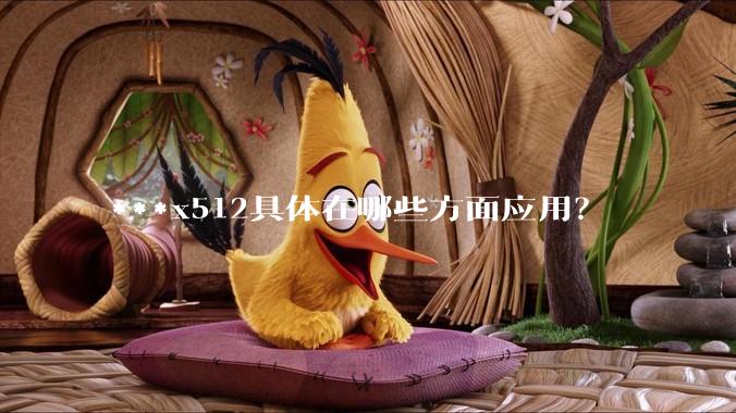 ***x512具体在哪些方面应用？