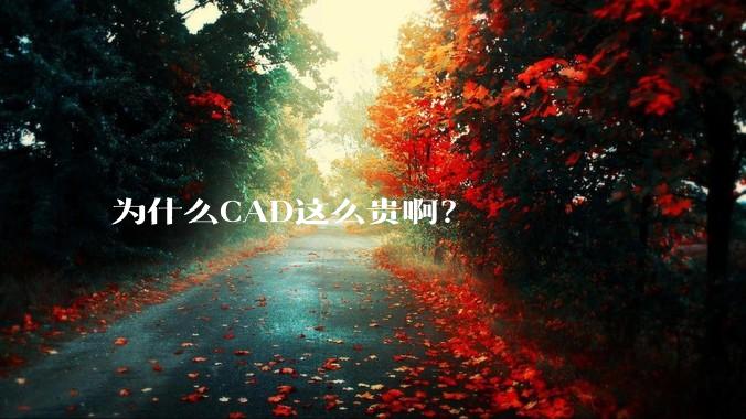 为什么CAD这么贵啊？