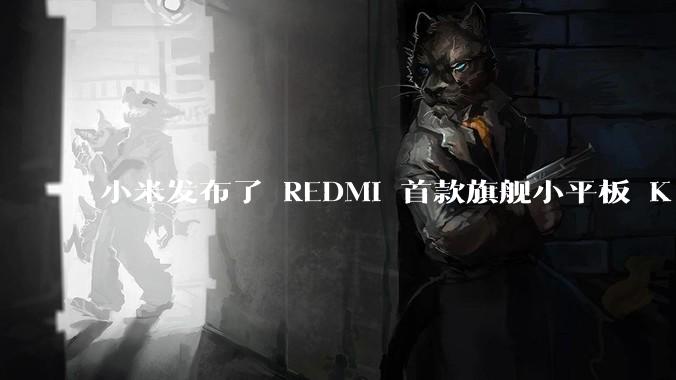 小米发布了 REDMI 首款旗舰小平板 K Pad，仅 8.8 英寸，小巧便携，如何评价这一设计？