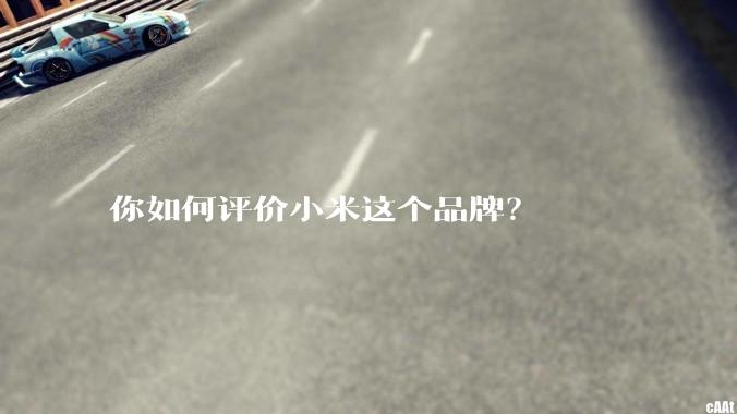你如何评价小米这个品牌？