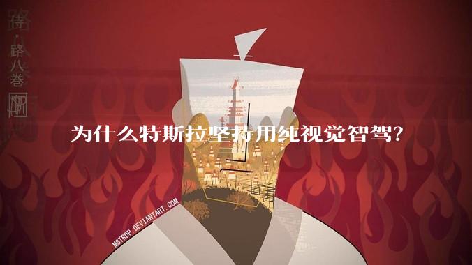 为什么特斯拉坚持用纯视觉智驾？