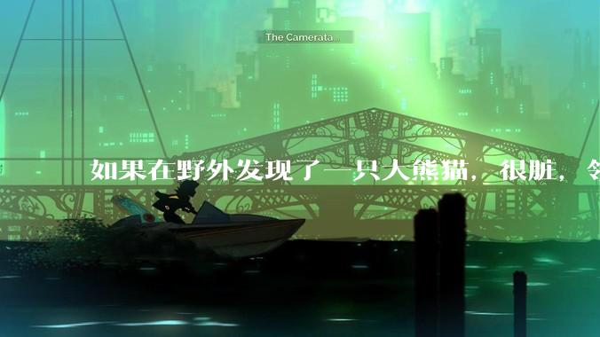 如果在野外发现了一只大熊猫，很脏，领回家给他洗个澡，再养几天，犯法吗？
