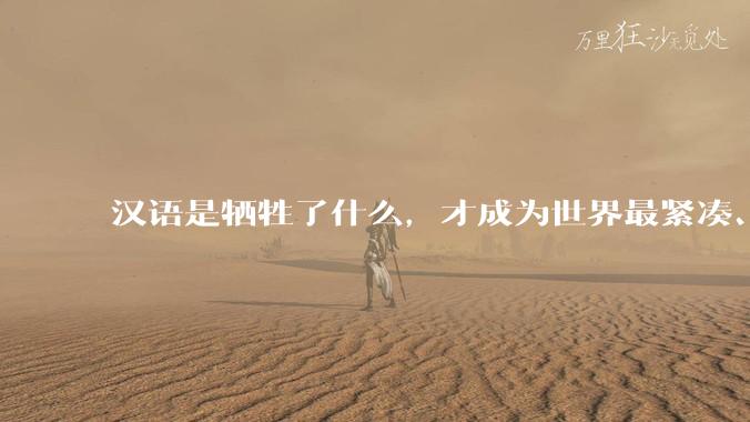 汉语是牺牲了什么，才成为世界最紧凑、最高效的语言？