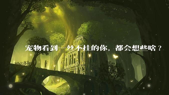 宠物看到一丝不挂的你, 都会想些啥?