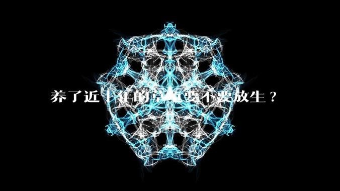 养了近十年的草龟要不要放生?
