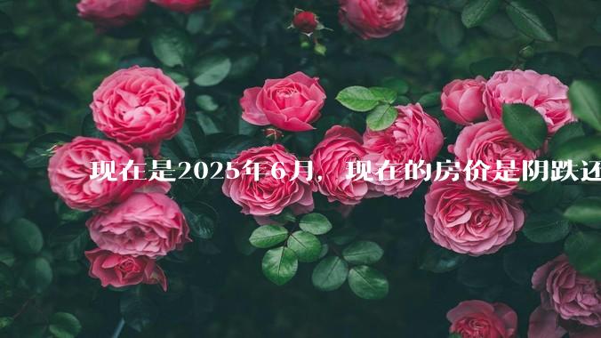 现在是2025年6月，现在的房价是阴跌还是暴跌？还会继续跌多久？是否已经开始分化?