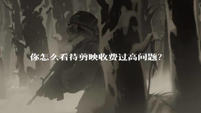 你怎么看待剪映收费过高问题？