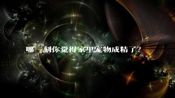 哪一刻你觉得家里宠物成精了？