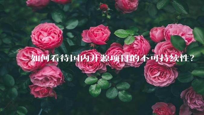 如何看待国内开源项目的不可持续性？