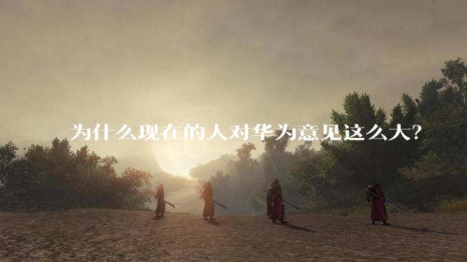 为什么现在的人对华为意见这么大？