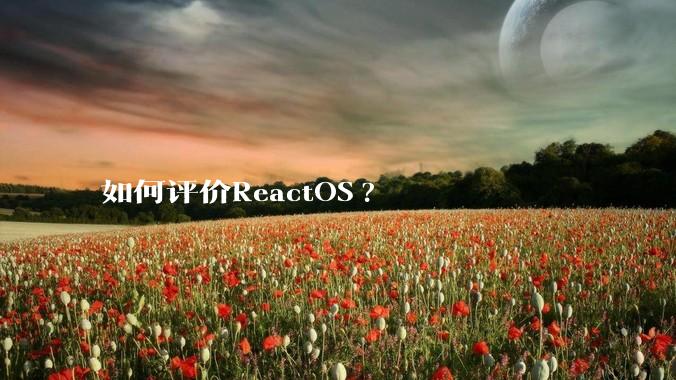 如何评价ReactOS?