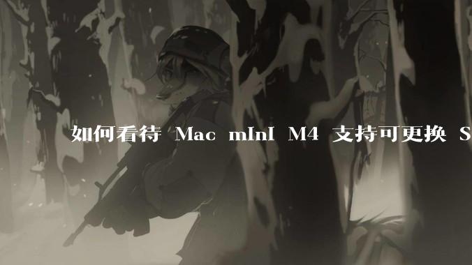 如何看待 Mac mini M4 支持可更换 SSD？