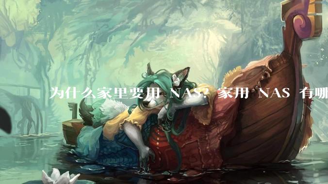 为什么家里要用 NAS？家用 NAS 有哪些实际的、接地气的用途？