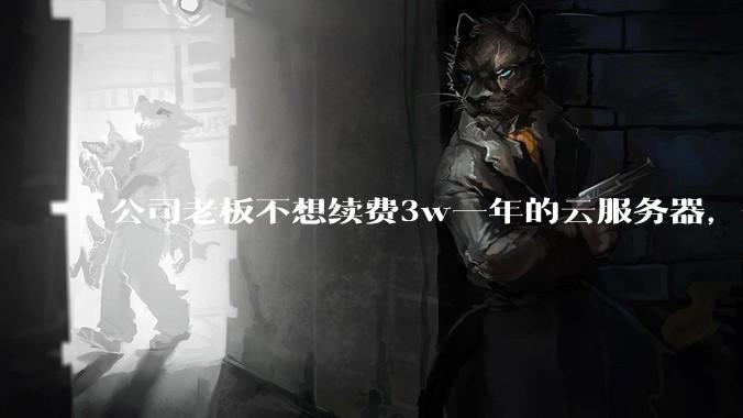 公司老板不想续费3w一年的云服务器，合理吗？
