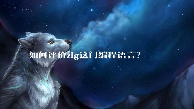 如何评价zig这门编程语言？