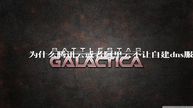 为什么腾讯云或者阿里云不让自建dns服务器?