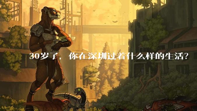 30岁了，你在深圳过着什么样的生活？