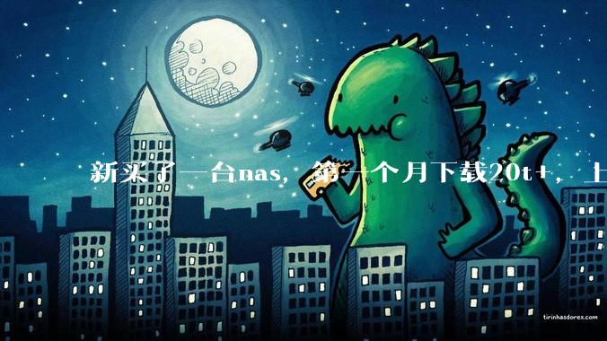 新买了一台nas，第一个月下载20t+，上传5+，不会被网警盯上吧?