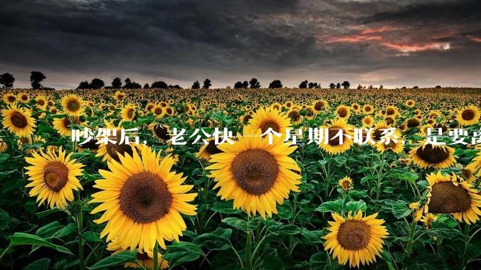吵架后，老公快一个星期不联系，是要离婚的节奏吗？