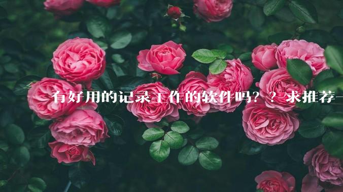 有好用的记录工作的软件吗？？求推荐一个？？