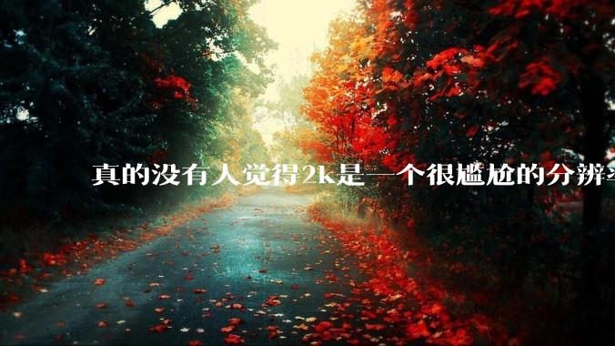 真的没有人觉得2k是一个很尴尬的分辨率吗？