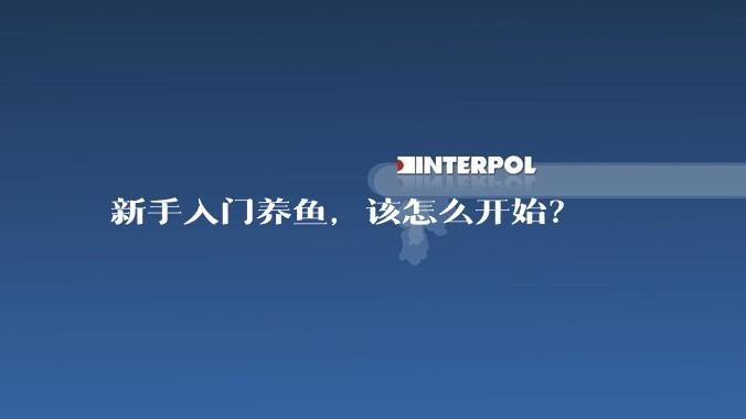 新手入门养鱼，该怎么开始？