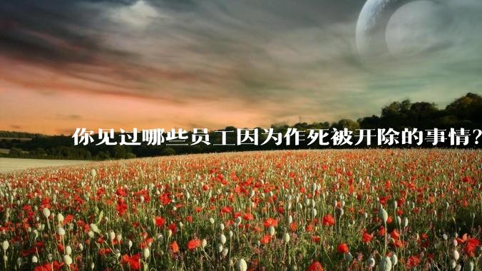 你见过哪些员工因为作死被开除的事情？