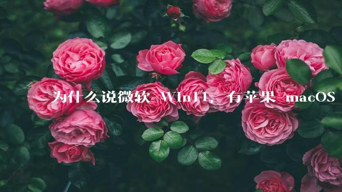 为什么说微软 Win11，有苹果 macOS 的感觉？
