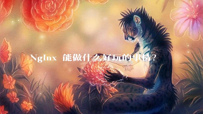 Nginx 能做什么好玩的事情？