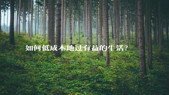 如何低成本地过有益的生活？