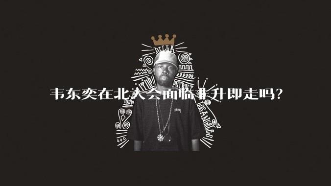 韦东奕在北大会面临非升即走吗？
