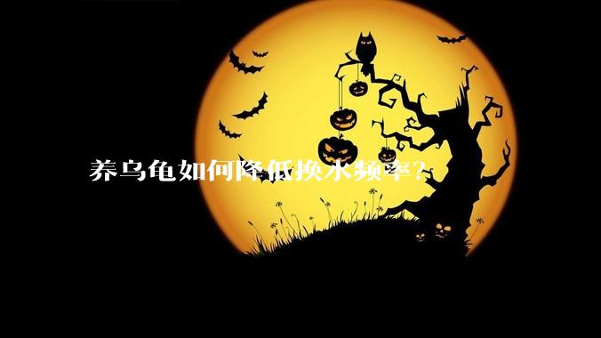养乌龟如何降低换水频率？
