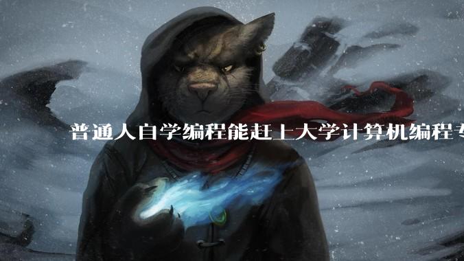 普通人自学编程能赶上大学计算机编程专业的水平吗？