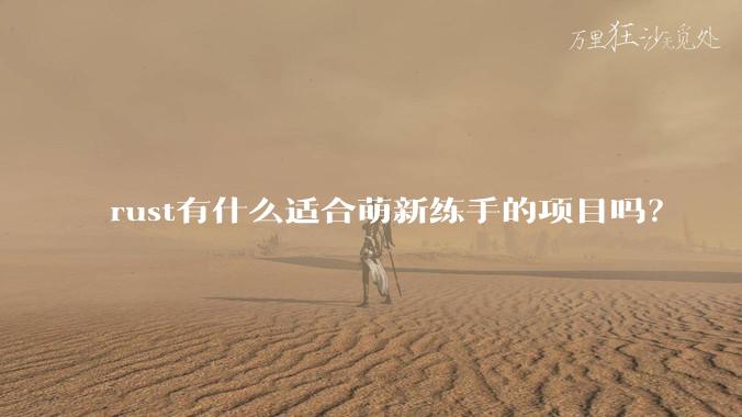 rust有什么适合萌新练手的项目吗？