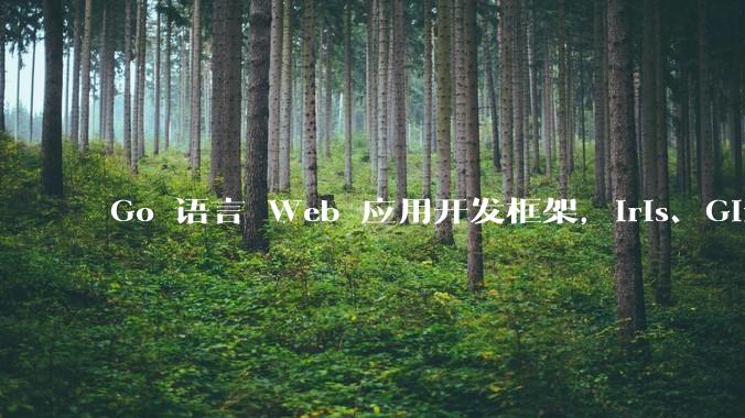 Go 语言 Web 应用开发框架，Iris、Gin、Echo，哪一个更适合大型项目？