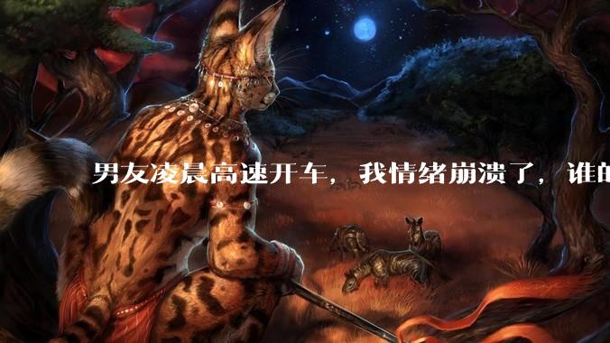男友凌晨高速开车，我情绪崩溃了，谁的错?